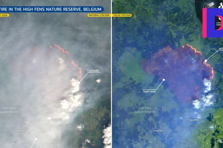 3 366 hectares brûlés dans les Hautes Fagnes : répercussions pour Bruxelles et les grandes villes