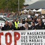700 personnes manifestent contre la chasse au canard près des zones humides protégées à Harchies
