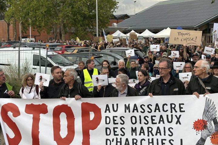 700 personnes manifestent contre la chasse au canard près des zones humides protégées à Harchies