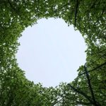 Activités du week-end en Wallonie et à Bruxelles du 21 au 23 août