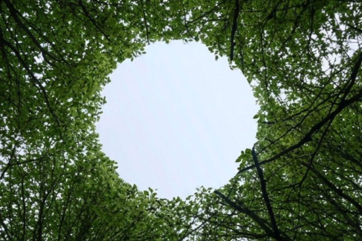 Activités du week-end en Wallonie et à Bruxelles du 21 au 23 août