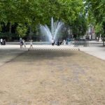 Alerte jaune pour la sécheresse maintenue dans la région bruxelloise malgré les récents arrosages