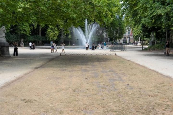 Alerte jaune pour la sécheresse maintenue dans la région bruxelloise malgré les récents arrosages