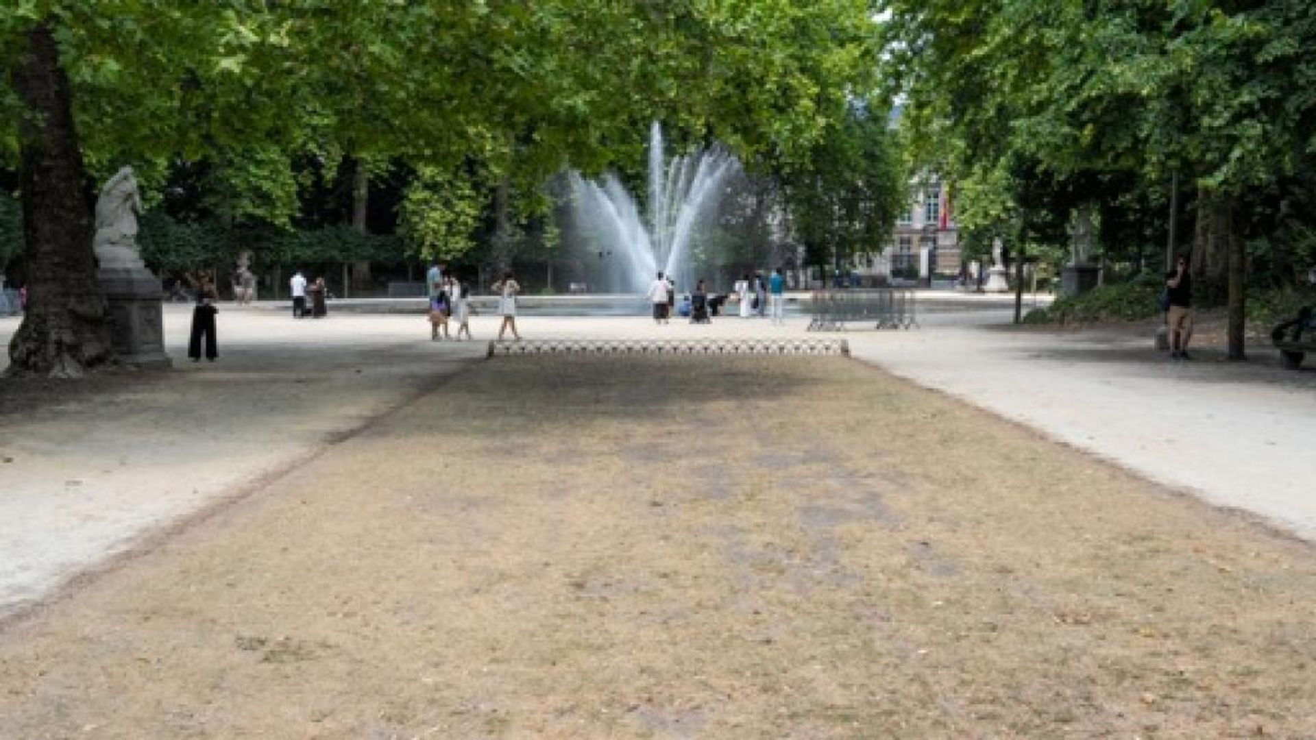Alerte jaune pour la sécheresse maintenue dans la région bruxelloise malgré les récents arrosages