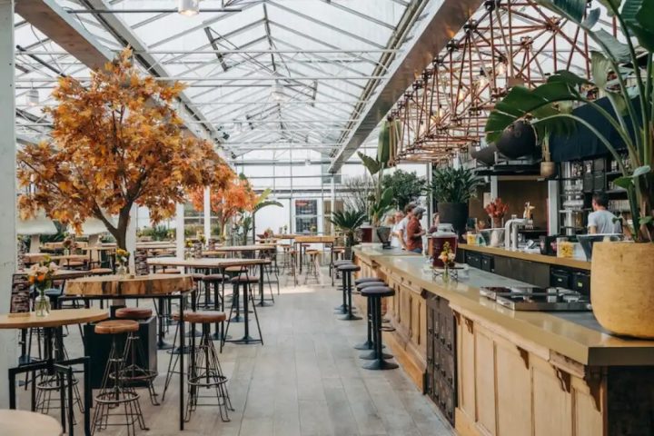 Antwerpen distribue gratuitement des tulipes pour célébrer le printemps, attirant de longues files d'attente