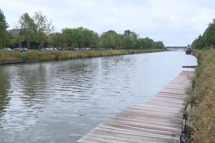 Bruxelles étudie la qualité de l'eau dans le canal d'Anderlecht pour envisager un accès à la baignade