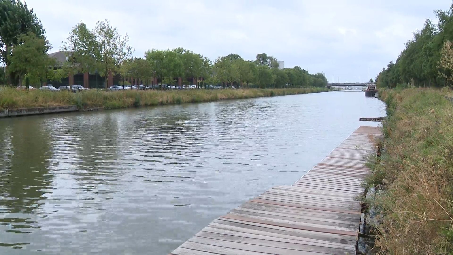 Bruxelles étudie la qualité de l'eau dans le canal d'Anderlecht pour envisager un accès à la baignade