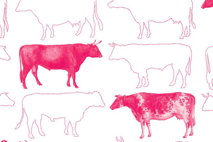 Des agriculteurs grecs auraient déclaré des subventions de l'UE pour des animaux non recensés dans les registres officiels.