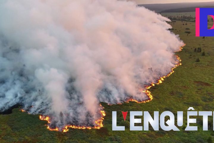 Des images satellites révèlent le début d'un incendie de forêt touchant plus de 3.366 hectares dans les Hautes Fagnes