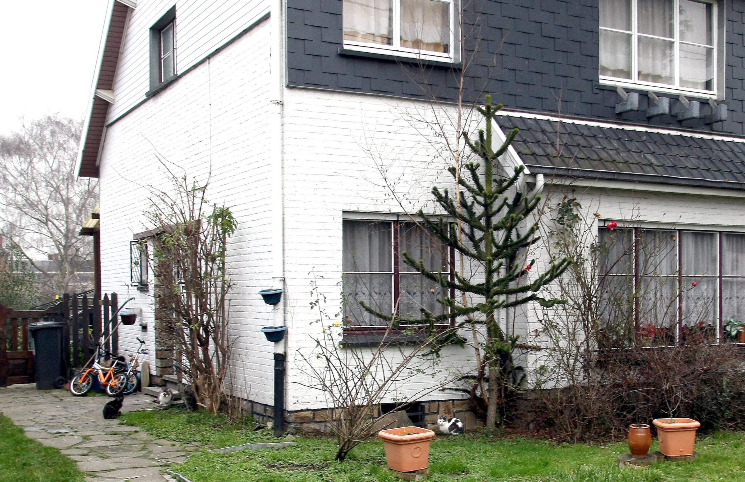 Des ouvriers découvrent des pépites et des pièces d'or lors de travaux de rénovation à Sint-Gillis-Dendermonde
