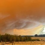 Des précipitations de 5 à 10 mm attendues en Belgique : un apport significatif pour la prévention des incendies ?