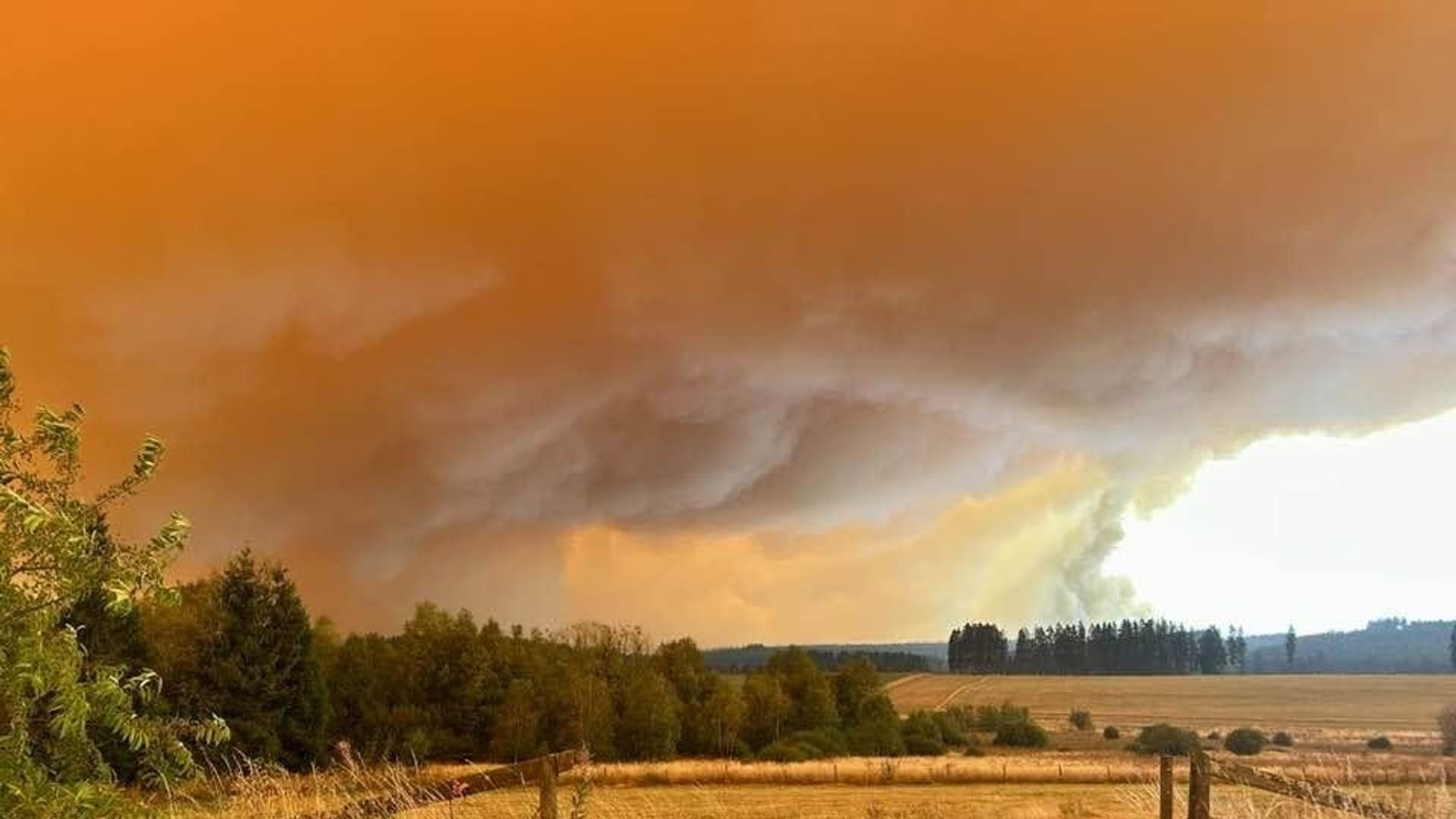 Des précipitations de 5 à 10 mm attendues en Belgique : un apport significatif pour la prévention des incendies ?