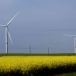 Des recours juridiques ralentissent 16 projets d'éoliennes prévus en Wallonie pour 2026