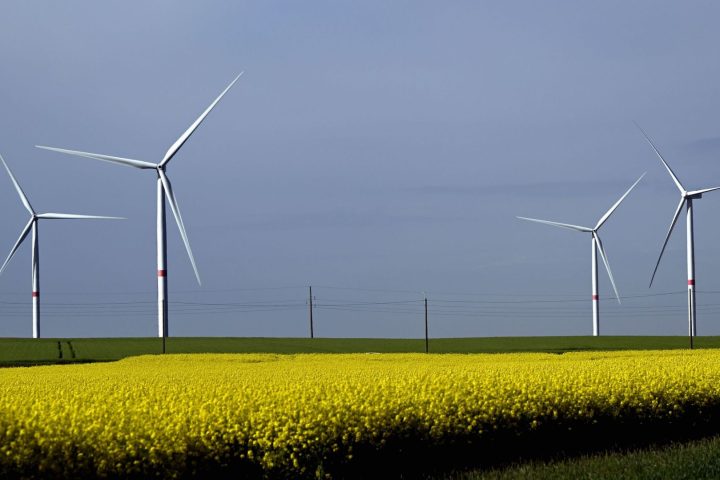 Des recours juridiques ralentissent 16 projets d'éoliennes prévus en Wallonie pour 2026