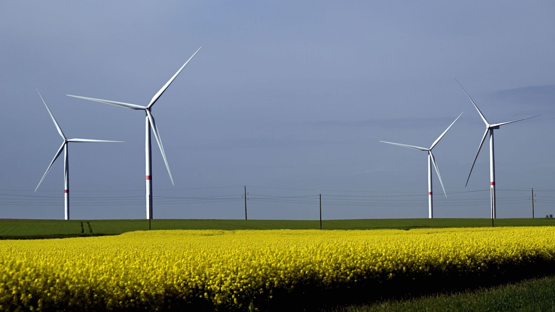 Des recours juridiques ralentissent 16 projets d'éoliennes prévus en Wallonie pour 2026