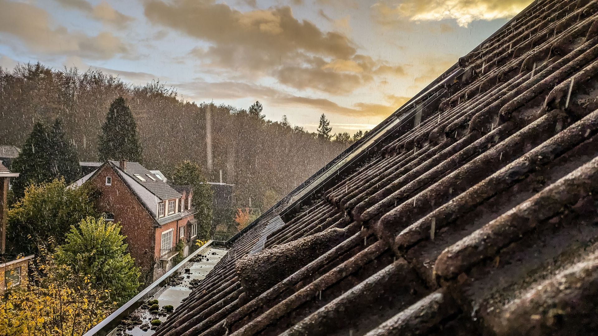 Des tempêtes intenses et des pluies abondantes prévues en Belgique cet automne en raison de mers chaudes