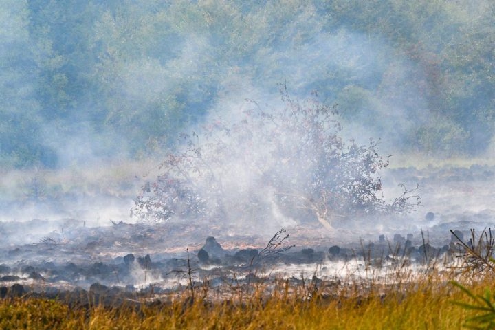 Incendie dans les Fagnes : le parquet de Liège ouvre une enquête pour déterminer la cause du sinistre