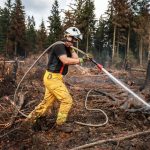 Incendie dans les Fagnes : pourquoi la fauchaison n'est-elle pas réalisée avant l'été ?