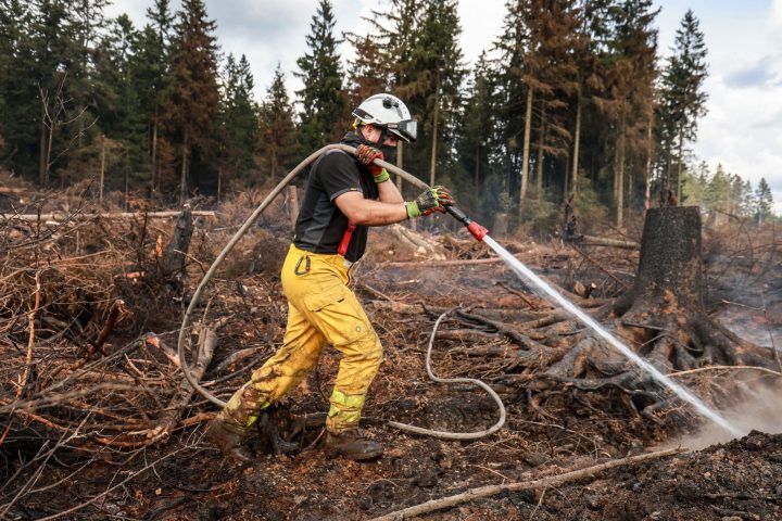 Incendie dans les Fagnes : pourquoi la fauchaison n'est-elle pas réalisée avant l'été ?