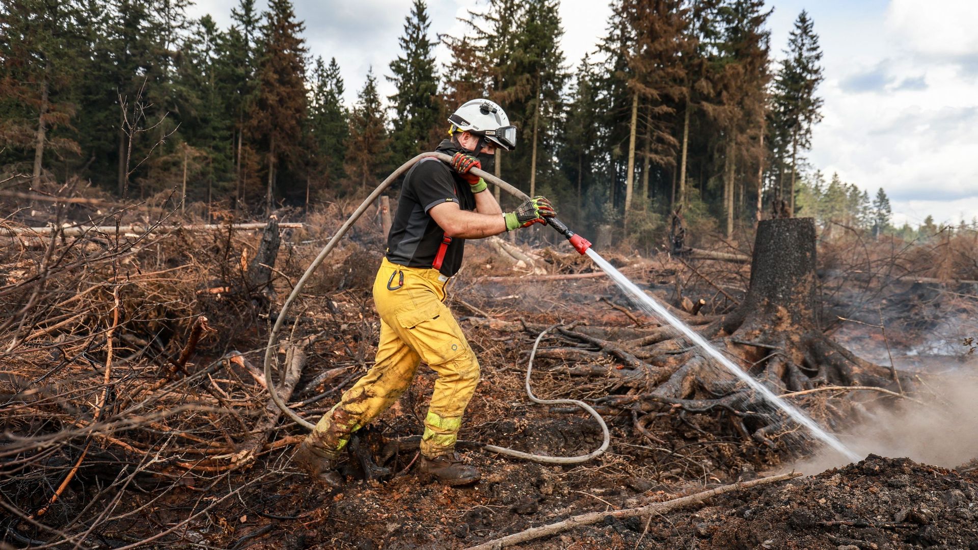 Incendie dans les Fagnes : pourquoi la fauchaison n'est-elle pas réalisée avant l'été ?