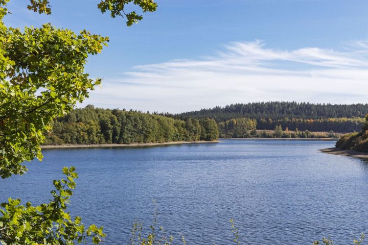 Incendie dans les Hautes Fagnes : conseils de voyage pour les visiteurs des Cantons de l'Est