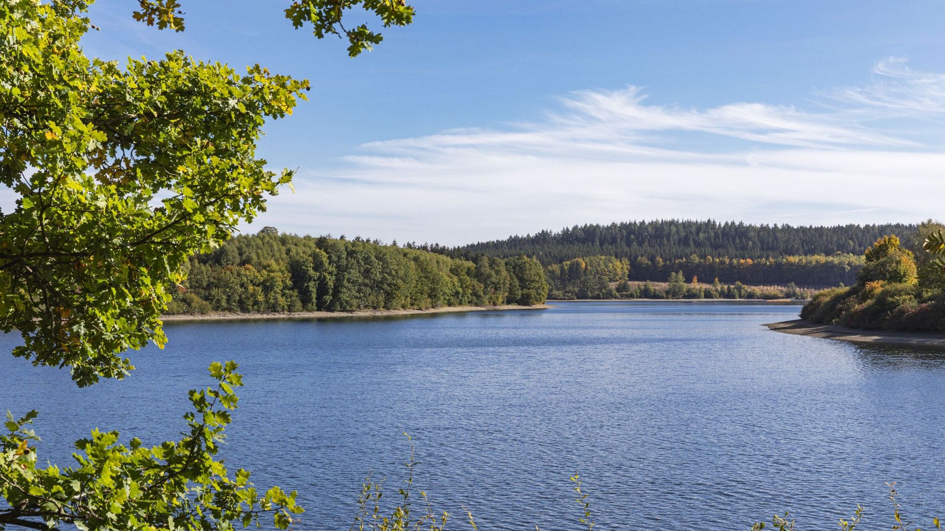 Incendie dans les Hautes Fagnes : conseils de voyage pour les visiteurs des Cantons de l'Est