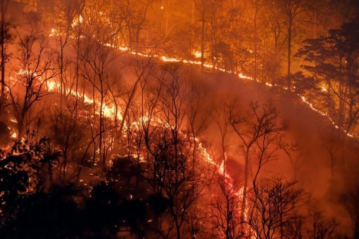 Janvier 2026 enregistre une chaleur record au milieu de contrastes météorologiques marqués dans le monde entier