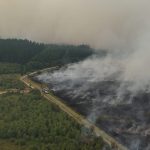 La Belgique demande un soutien aérien européen pour lutter contre un incendie de forêt historique dans les Hautes Fagnes.