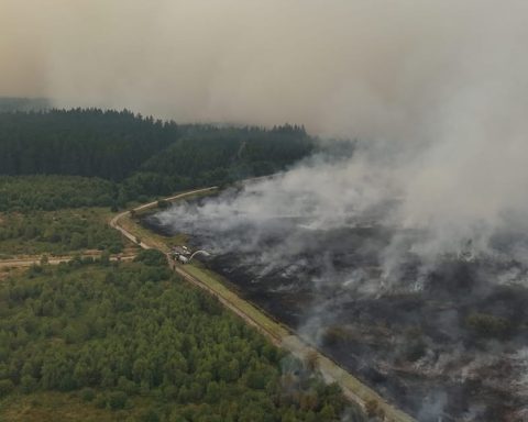 La Belgique demande un soutien aérien européen pour lutter contre un incendie de forêt historique dans les Hautes Fagnes.