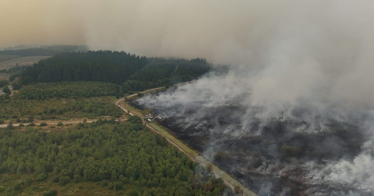La Belgique demande un soutien aérien européen pour lutter contre un incendie de forêt historique dans les Hautes Fagnes.
