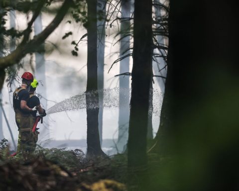 La Belgique enregistre 234 feux de végétation en 2026 en raison des récentes conditions sèches