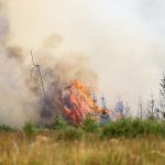 La Belgique mal préparée à un risque accru d'incendies de forêt, alerte le climatologue Xavier Fettweiss