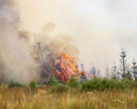 La Belgique mal préparée à un risque accru d'incendies de forêt, alerte le climatologue Xavier Fettweiss