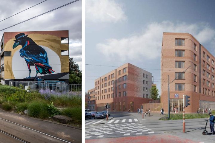 La fresque de Sozyone "Corvus corone" remplacée par 80 logements et un supermarché