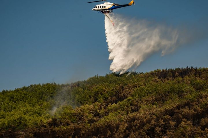 La technologie satellitaire aide l'Europe à lutter contre les incendies de forêt en période de chaleur record.