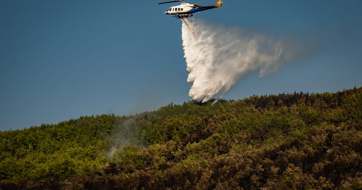 La technologie satellitaire aide l'Europe à lutter contre les incendies de forêt en période de chaleur record.