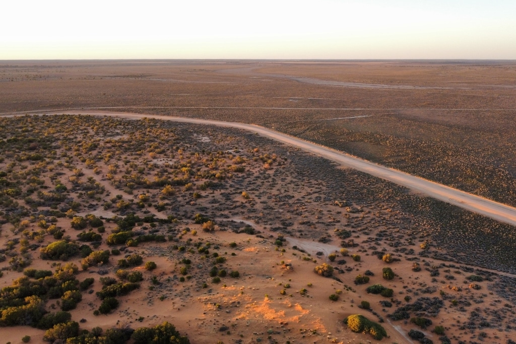 Le changement climatique augmente la probabilité de vagues de chaleur extrêmes en Australie, avertit une étude