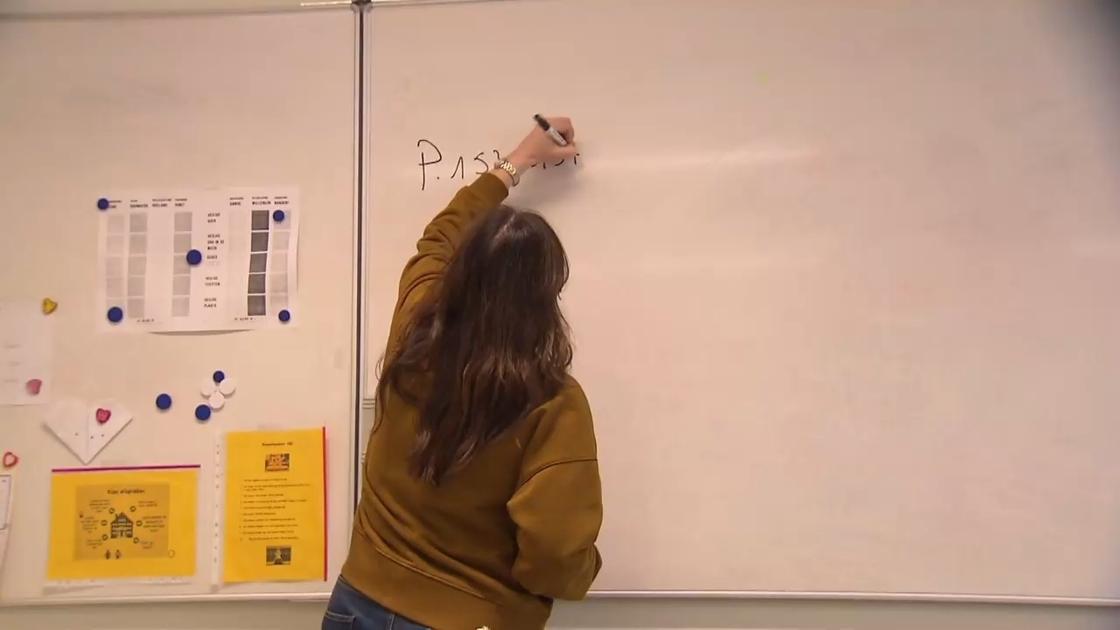 Le ministre bruxellois critique le refus prématuré de Demir concernant la prime pour les enseignants