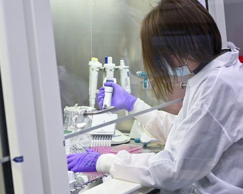 Le nombre de jeunes commençant un emploi permanent atteint son plus bas niveau en cinq ans