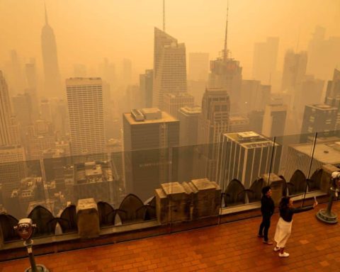 Le risque d'incendies de forêt augmente dans l'est des États-Unis en raison des changements d'activités humaines