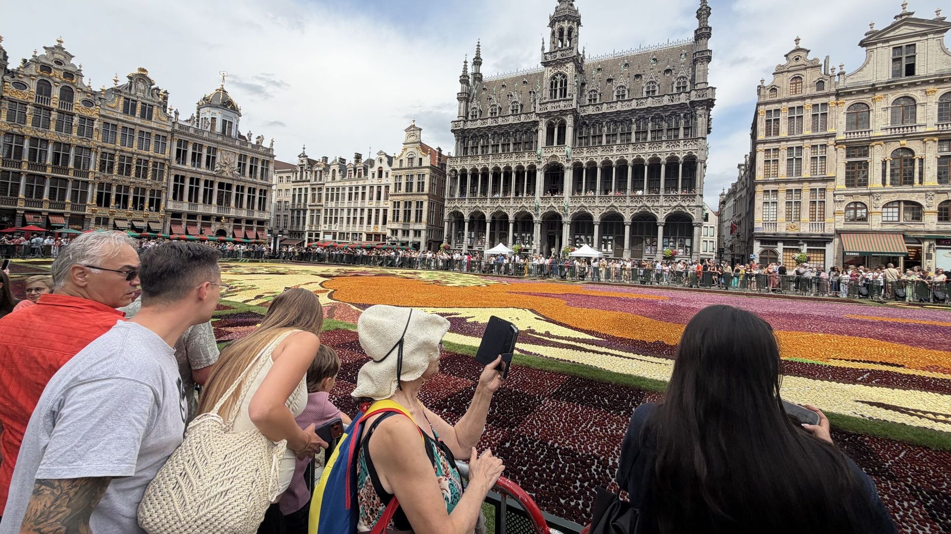 Le tapis de fleurs de la Grand-Place fascine malgré des dahlias stressés par la chaleur