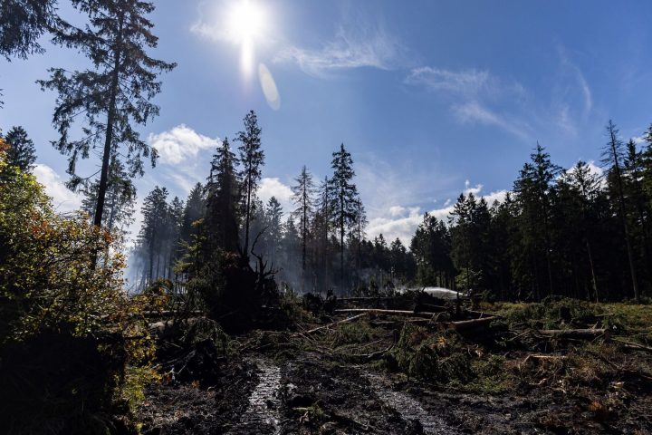 Les dons au fonds de solidarité de la Fondation Roi Baudouin dépassent 73 000 euros après l'incendie des Fagnes