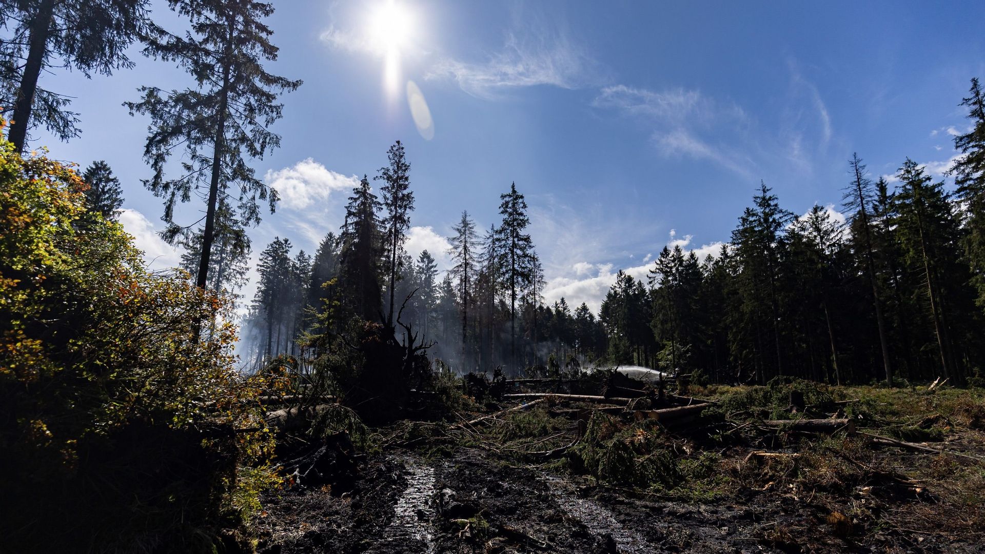 Les dons au fonds de solidarité de la Fondation Roi Baudouin dépassent 73 000 euros après l'incendie des Fagnes