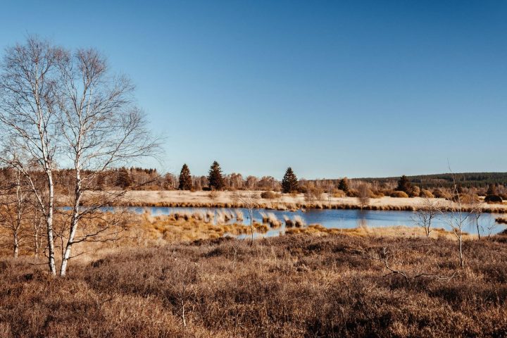 Les Fagnes : un paysage façonné par la nature et l'activité humaine