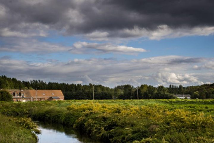 Les températures des eaux en Flandre atteignent des niveaux records cet été, suscitant des inquiétudes écologiques et économiques.
