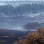 L'incendie dans les Hautes Fagnes est largement maîtrisé, les pompiers réduisent leurs efforts.