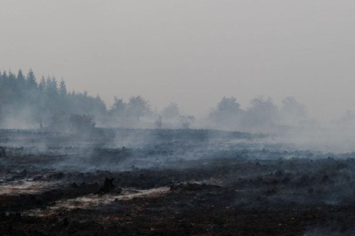 L'incendie dans les Hautes Fagnes suscite des inquiétudes sur la faune et les milieux naturels affectés
