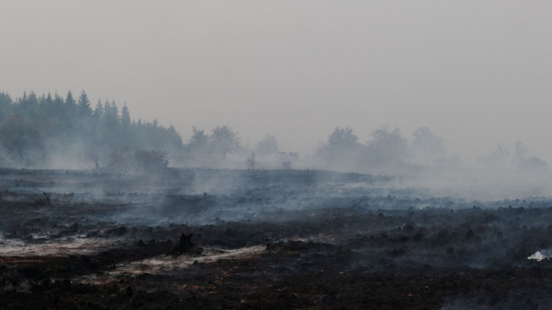 L'incendie dans les Hautes Fagnes suscite des inquiétudes sur la faune et les milieux naturels affectés