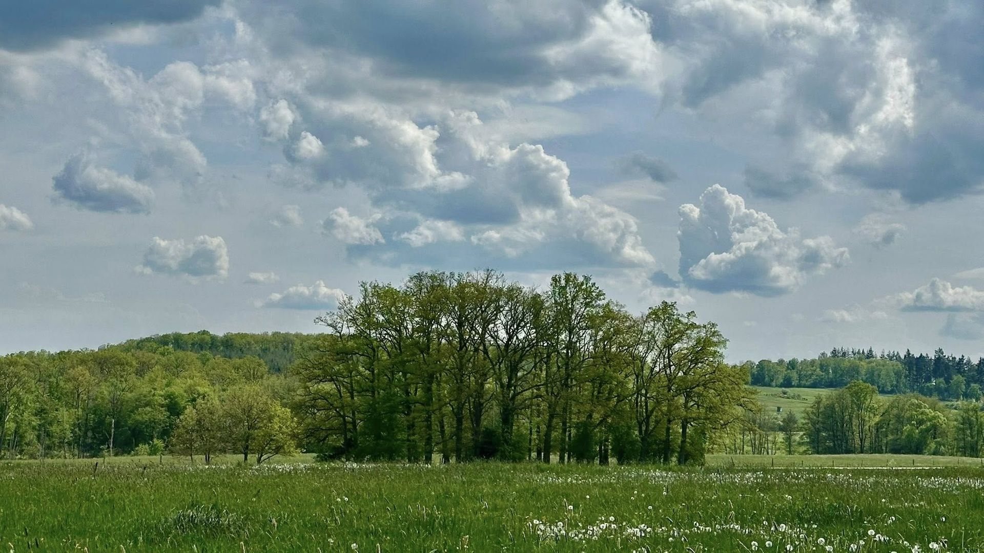 Météo en Belgique : ciel changeant avec des averses intermittentes attendues