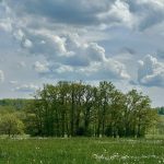 Météo en Belgique : ciel changeant avec des pluies intermittentes attendues